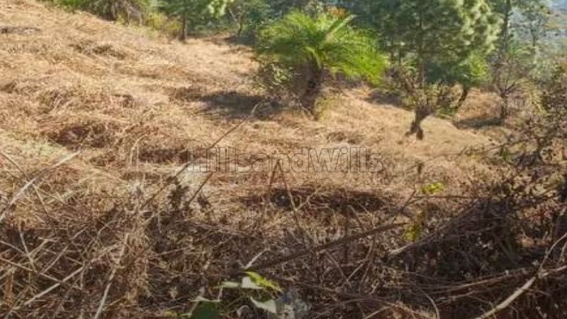 ₹7 Cr | 66 biswa commerical land for sale  in dharampur kasauli, solan