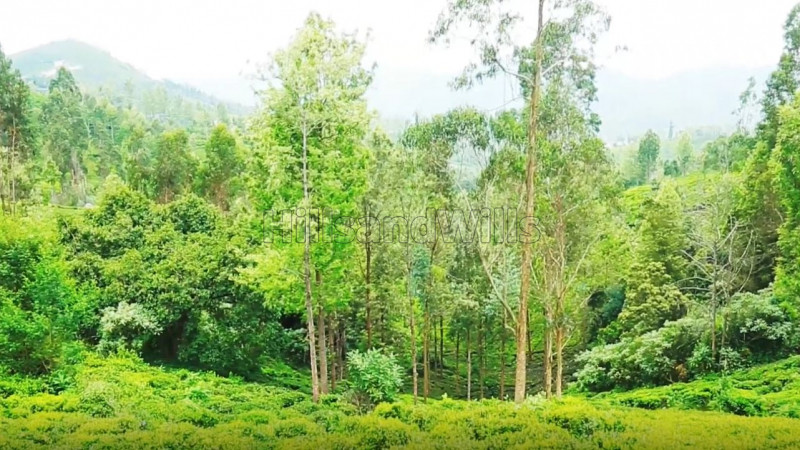 ₹42 Lac | 40 cents Agriculture Land For Sale in near Ketti Palada Ooty