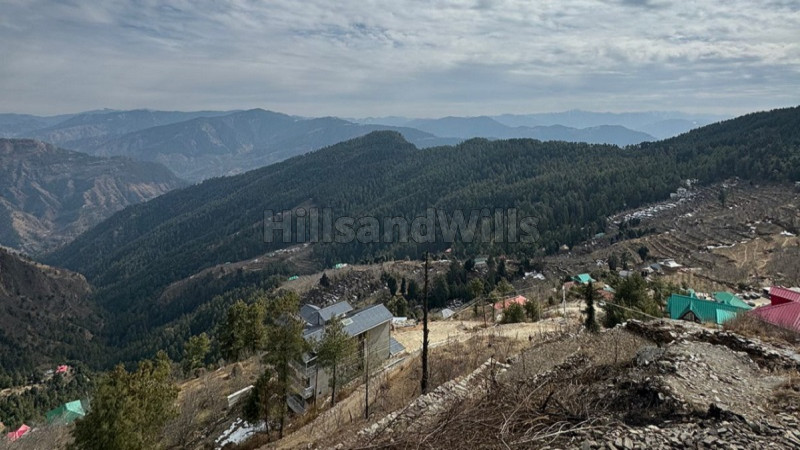 ₹90 Lac | 28 biswa commercial land  for sale in theog shimla