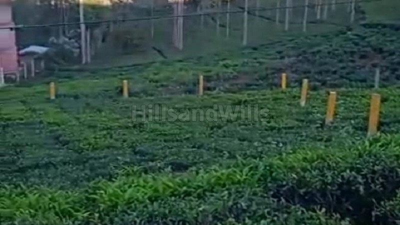₹1.30 Cr | 5 cents residential plot for sale  in kannerimukku kotagiri