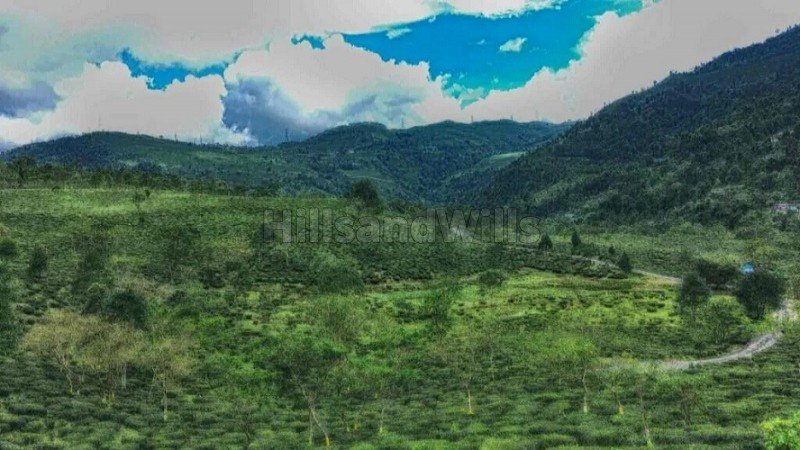 ₹75 Lac | 20 decimal residential plot for sale  in bunkulung darjeeling