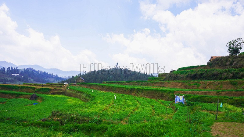 ₹35 Lac | 3 acres agriculture land for sale in kodaikanal