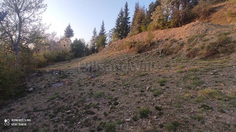 ₹1.60 Cr | 2 bigha commerical land for sale  in baldeyan shimla
