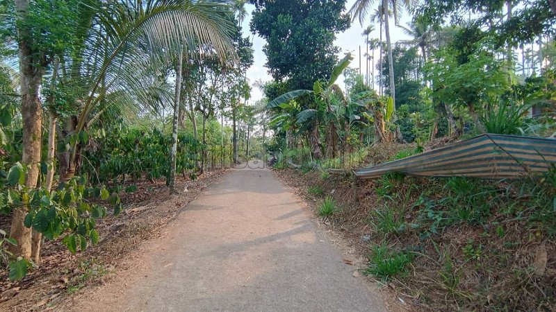 ₹35 Lac | 1 acres residential plot for sale  in bathery wayanad