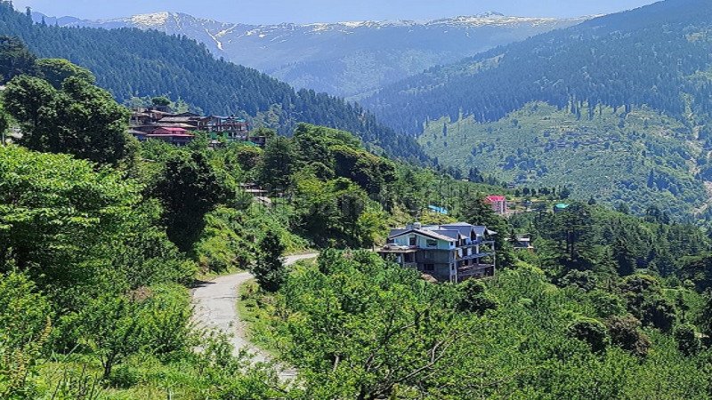 ₹60 K | 4bhk villa for rent  in kullu-manali