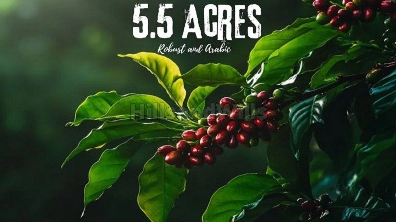 ₹1.92 Cr | 5.5 acres agriculture land for sale  in joldal road chikmagalur
