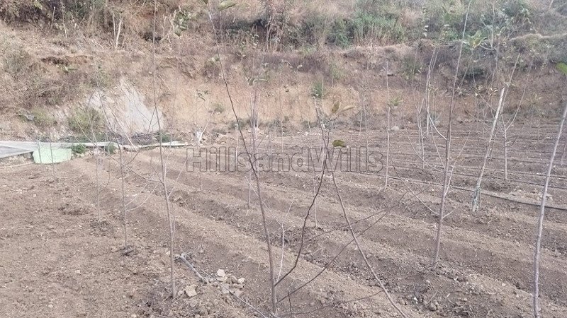 ₹65 Lac | 10 biswa agriculture land for sale  in darlaghat solan