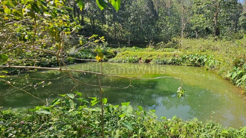 ₹45.90 Cr | 170 acres pepper & cardamom estate for sale  in kodaikanal