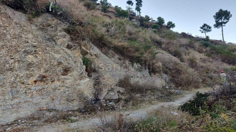 ₹47.50 Cr | 100000 sq.ft. agriculture land for sale  in lavighat solan