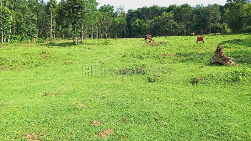 ₹60 Lac | 2 acres residential plot for sale in neervaram wayanad