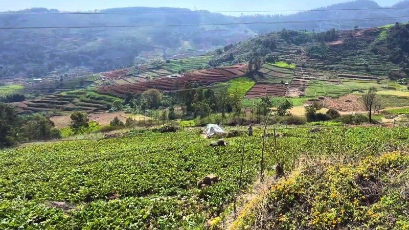 ₹70 Lac | 64 cents agriculture land for sale  in denadukombai ooty