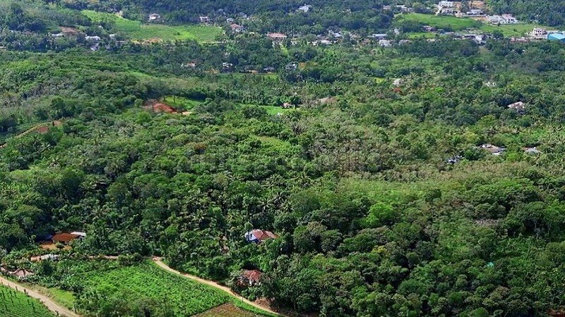 ₹1.10 Cr | 85 cents residential plot for sale  in manthavady wayanad