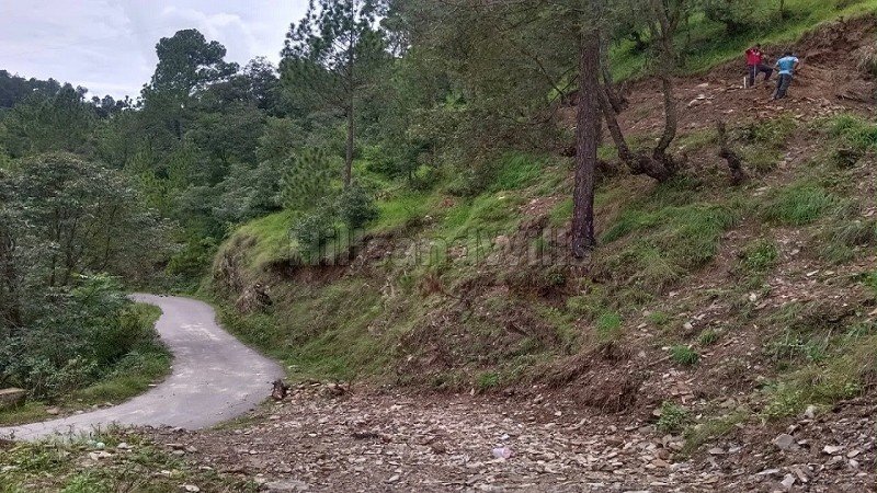 ₹1.25 Cr | 1000 sq.meter residential plot for sale in nathuakhan, mukteshwar nainital