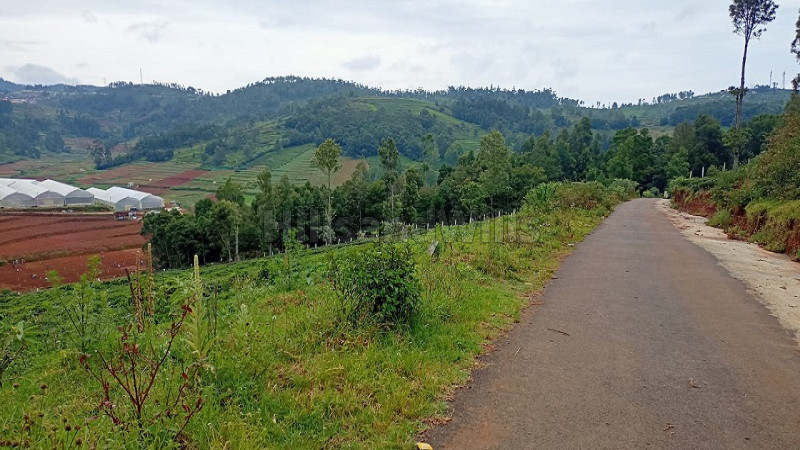 ₹9 Lac | 1950 sq.ft. Residential Plot For Sale in Kappachi Ooty