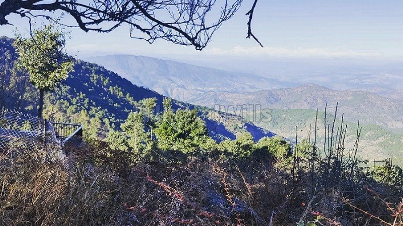 ₹1.60 Cr | 1600 sq.meter commerical land for sale  in ramnagar nainital