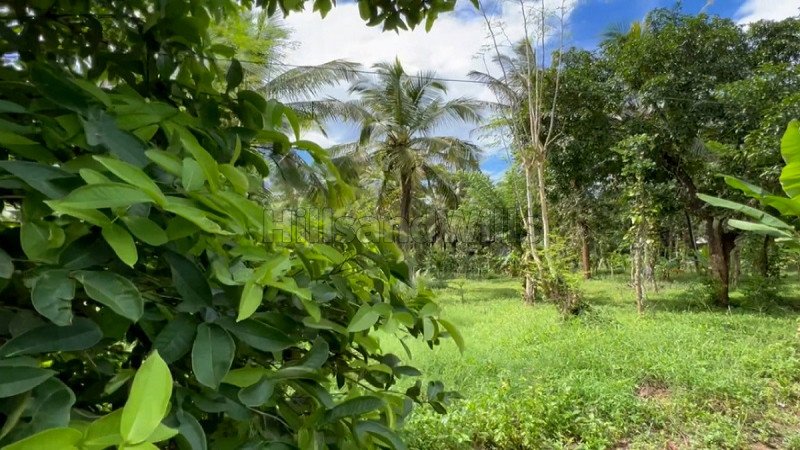 ₹45 Lac | 170 cents residential plot for sale  in pulpally wayanad