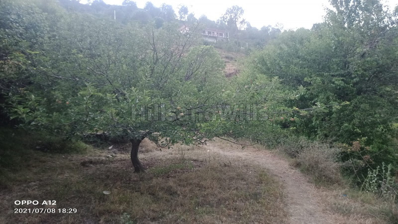 ₹50 Lac | 86 acres Agriculture Land For Sale in Kumarsain Shimla