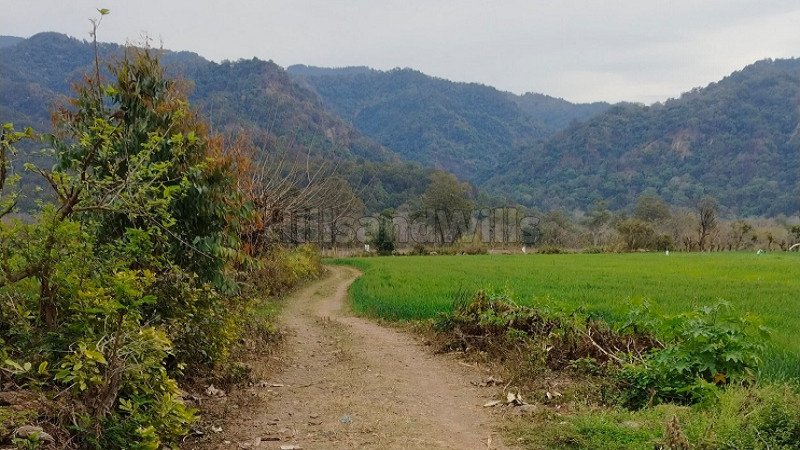 ₹25 Lac | 2500 sq.ft. residential plot for sale  in kotabagh nainital