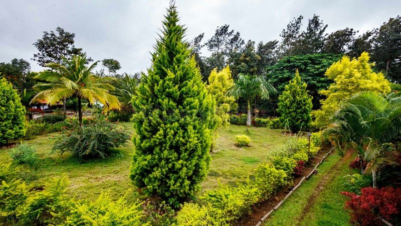 ₹55 Lac | 2bhk farm house for sale  in belur coorg