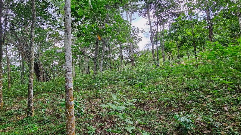 ₹46 Lac | 2 acres agriculture land for sale  in kodaikanal