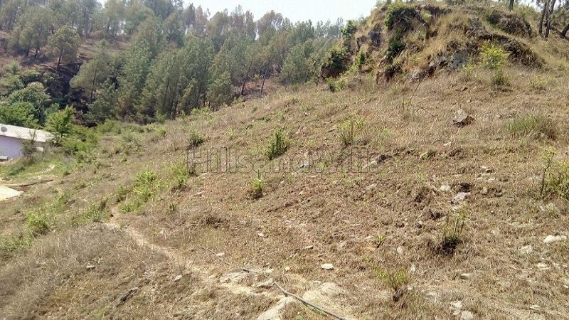 ₹1.20 Cr | 8 nali commercial land  for sale in kosi almora near nainital