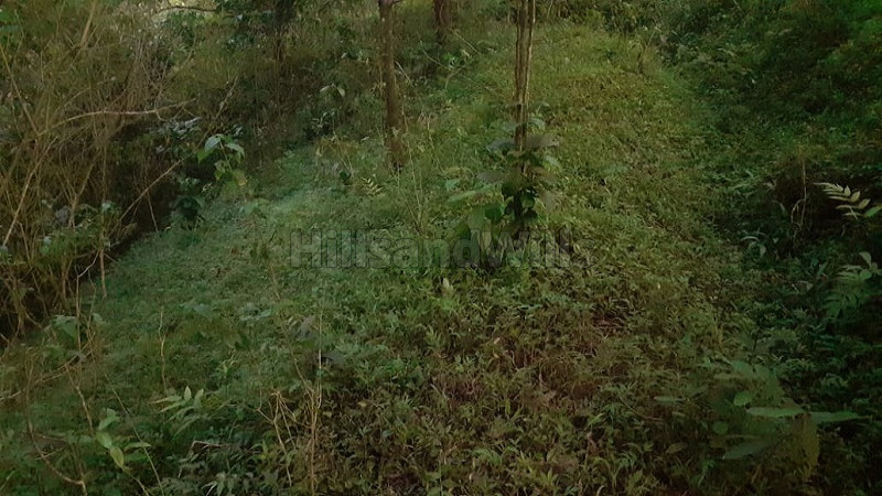 ₹80 Lac | 3.5 acres agriculture land for sale in kulamavu idukki