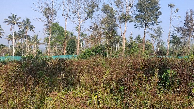 ₹4 Lac | 10 cents residential plot for sale  in koleri wayanad
