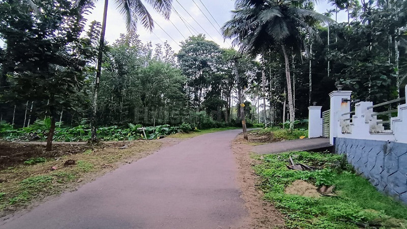₹35 Lac | 1 acres residential plot for sale in pulpally wayanad