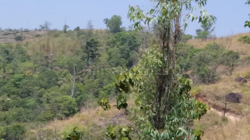 ₹40 Lac | 11 acres commercial land  for sale in vagamon idukki