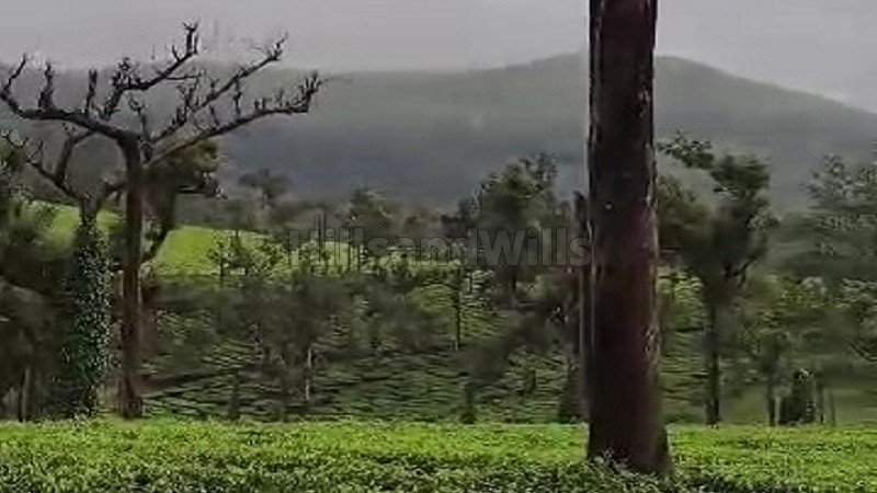 ₹4.95 Cr | 5.5 acres commerical land for sale  in poopara munnar