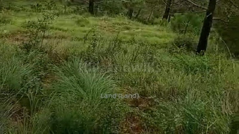 ₹3 Cr | 6 bigha agriculture land for sale  in shimla