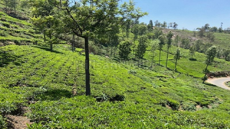 ₹10 Cr | 2.07 acres agriculture land for sale  in kettikombai road kotagiri