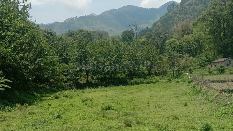 ₹1.60 Cr | 43200 sq.ft. Agriculture Land For Sale in Jeolikote Nainital