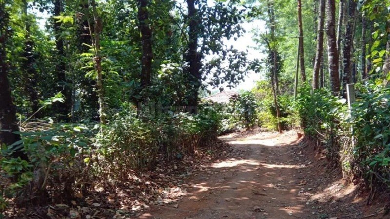 ₹1.43 Cr | 26 cents  revenue land with house for sale  in somwarpet coorg
