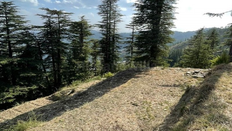 ₹5 Cr | 5 bigha commerical land for sale  in kufri shimla