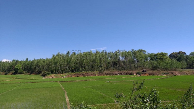 ₹2.50 Cr | 6.98 acres Agriculture Land For Sale in Gundur Nadu Kolli Hills