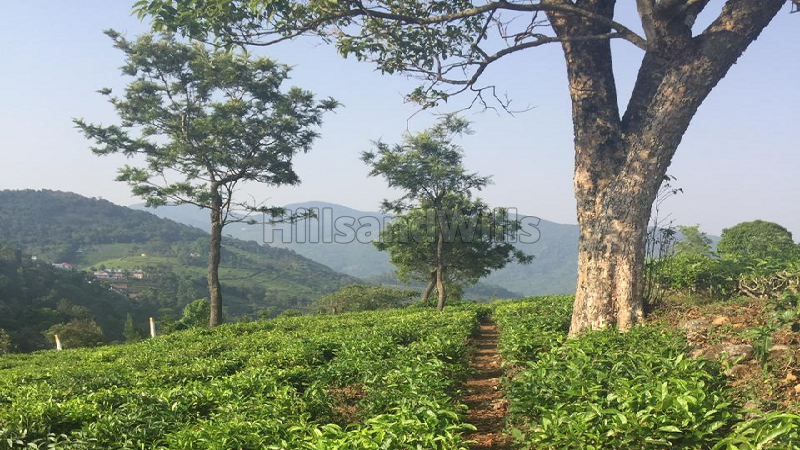 ₹75 Lac | 30 cents Residential Plot For Sale in Kotagiri