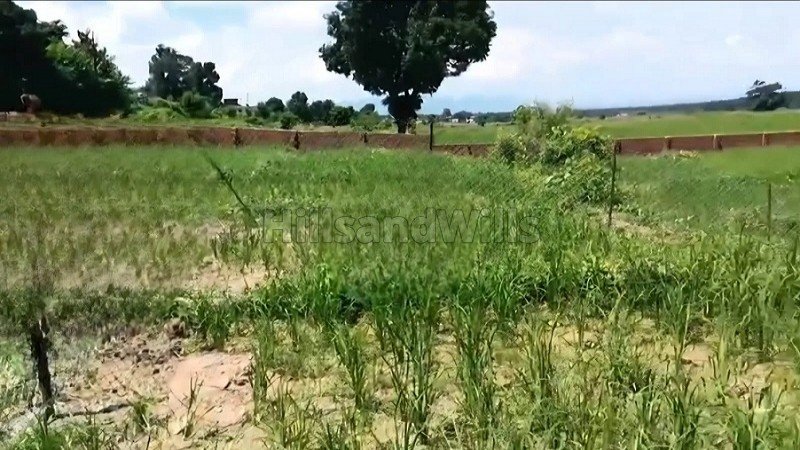 ₹48 Lac | 2000 sq.ft. residential plot for sale  in horawala dehradun