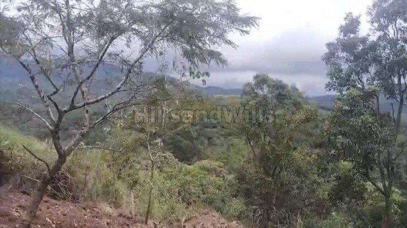 ₹2.50 Cr | 10bhk cottage for sale  in santhanpara munnar