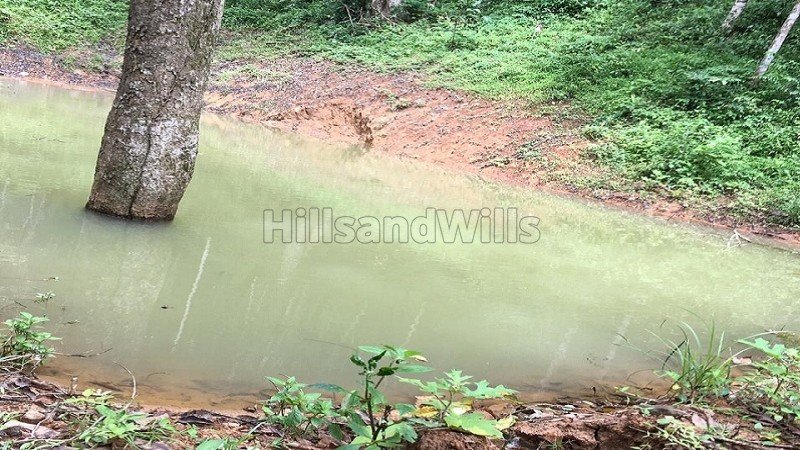 ₹4 Cr | 14.7 acres estate with traditional house for sale  in madikeri coorg