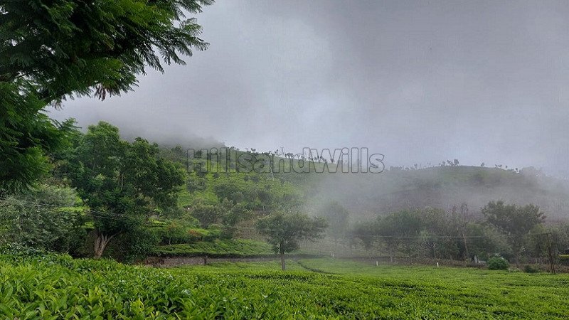 ₹250 Cr | 570 acres tea estate for sale  in coonoor
