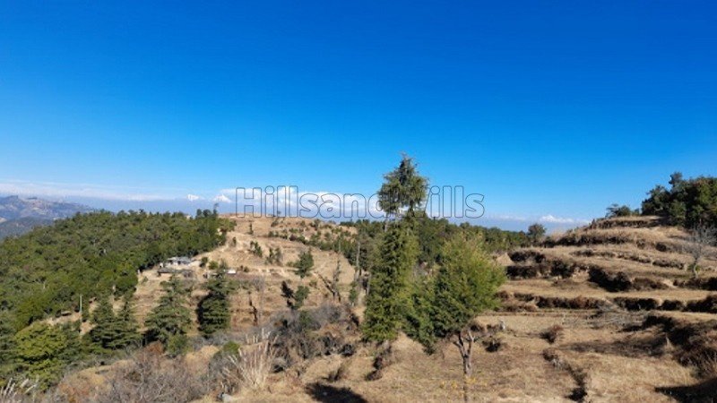 ₹95.95 Lac | 101 nali  himalayan view land for sale  in mukteshwar nainital